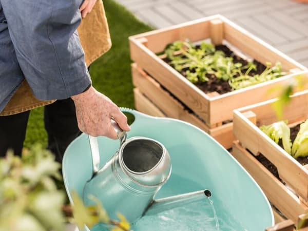 Pflanzen in KNAGGLIG Box werden gegossen. Gießkanne wird befüllt mit Wasser aus einer kleinen Wanne.