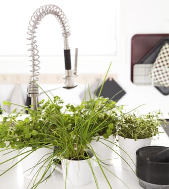 Piante aromatiche in vaso intorno al lavello.