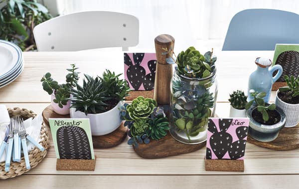 Piante grasse in vaso su un tavolo di legno chiaro - IKEA