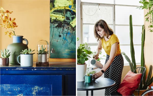 Piante in vaso sopra un mobile blu contro una parete arancione. Una donna annaffia delle piante su un tavolo nero – IKEA