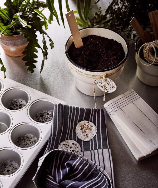 Piantine, uno stampo per dolci contenente dischetti di carta con semi pronti da piantare e vasi beige da regalare decorati con i dischetti di carta.