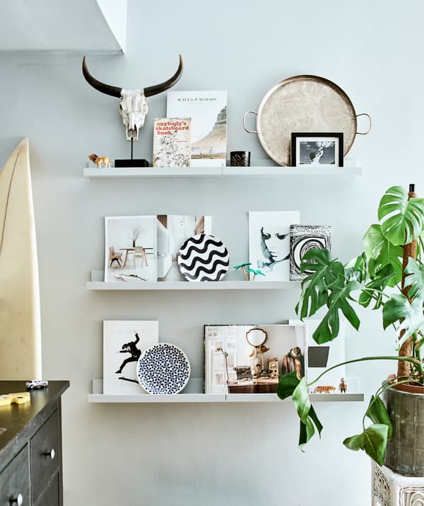 Pictures and ornaments displayed on three picture ledges, next to a large plant.