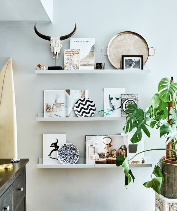 Pictures and ornaments displayed on three picture ledges, next to a large plant.
