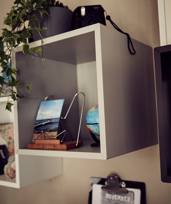 Pictures and plants displayed in a cubed open storage unit.