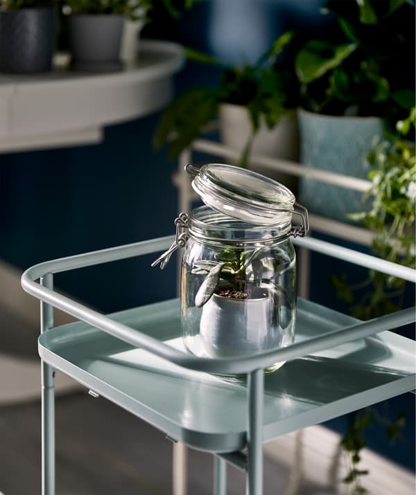 Piedistallo con un contenitore in vetro KORKEN con il coperchio leggermente aperto e all'interno una piantina in vaso - IKEA
