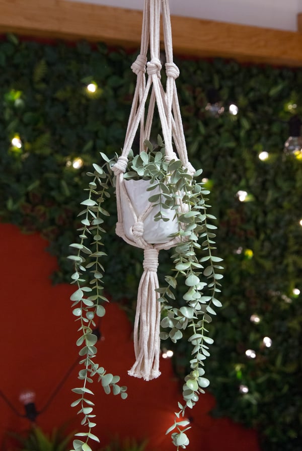 Pieza tejida para colgar plantas color beige.