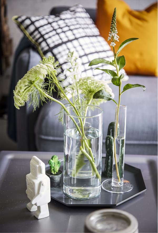 Plant cuttings displayed in vases on a tray.