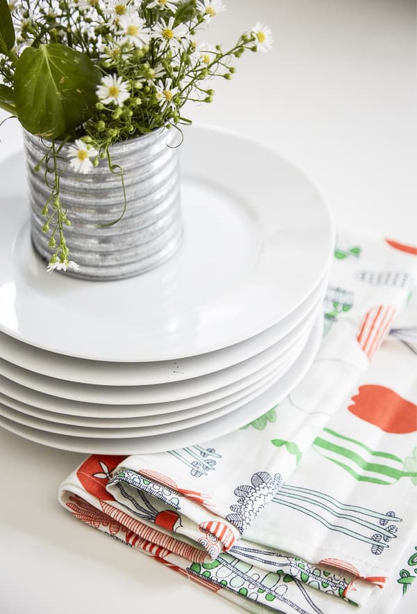 Plant cuttings displayed on top of a stack of plates.