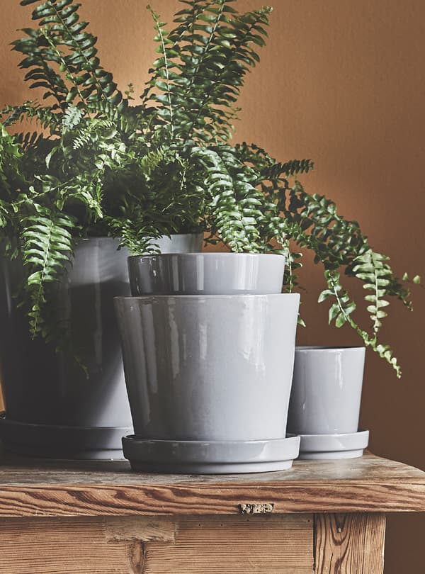 Plant pots