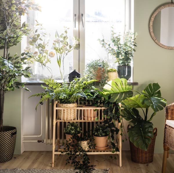 Plant pots