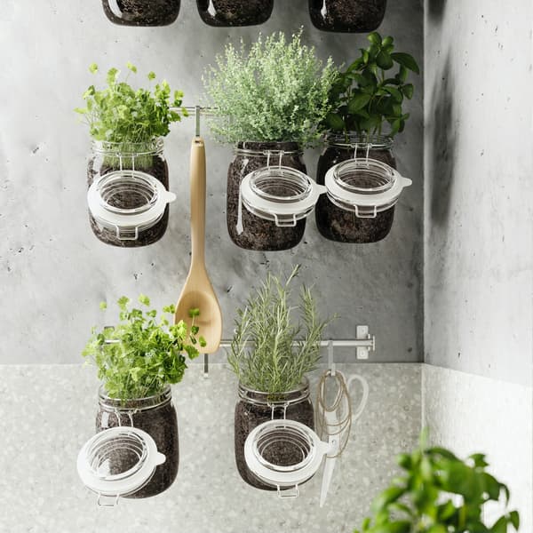 Plant pots made from glass jars