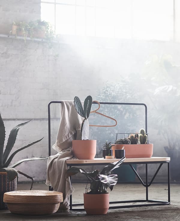 Plant pots on a wooden bench with metal frame and rack.