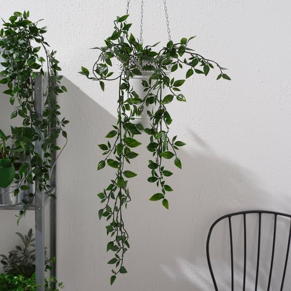 planta colgante de plastico