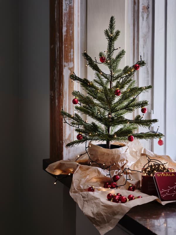 Planta como árbore de Nadal