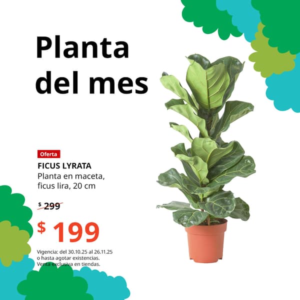 Planta del mes