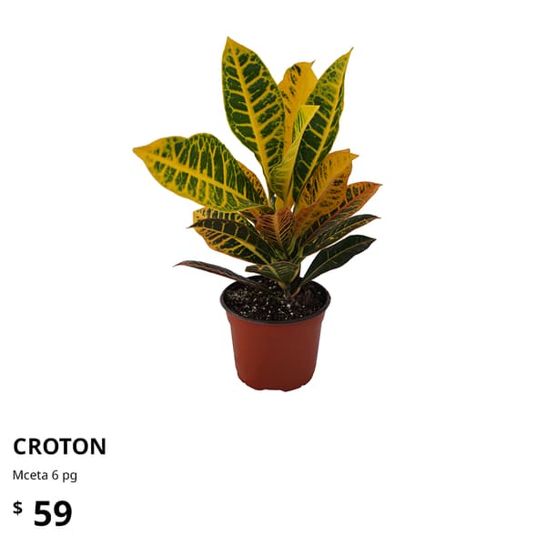 planta ikea