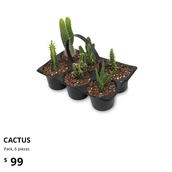 planta ikea