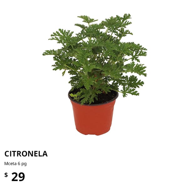 planta ikea