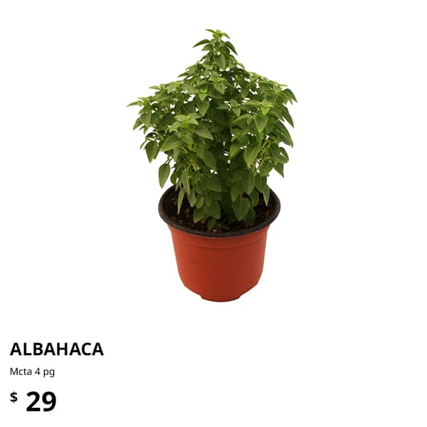 planta ikea