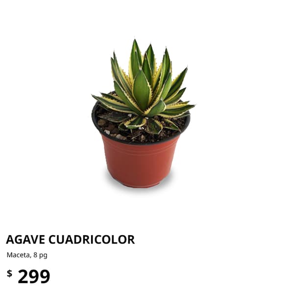 planta ikea