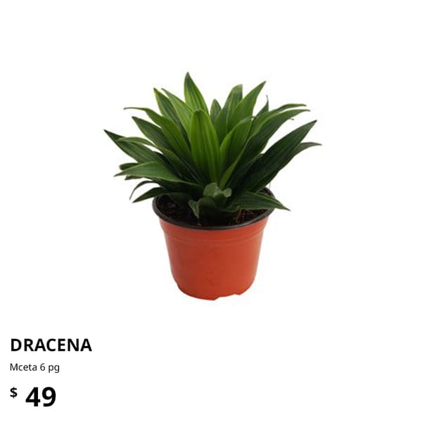 planta ikea