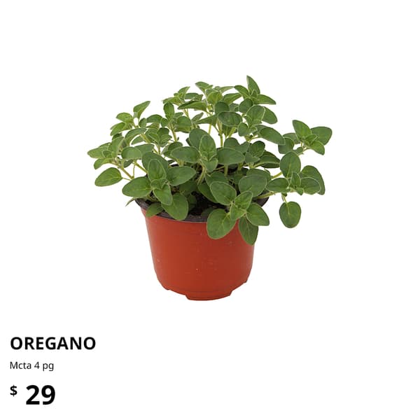 planta ikea