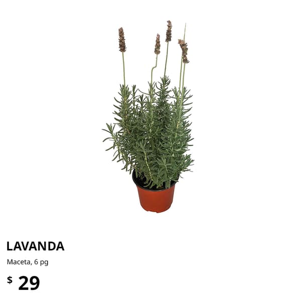 planta ikea