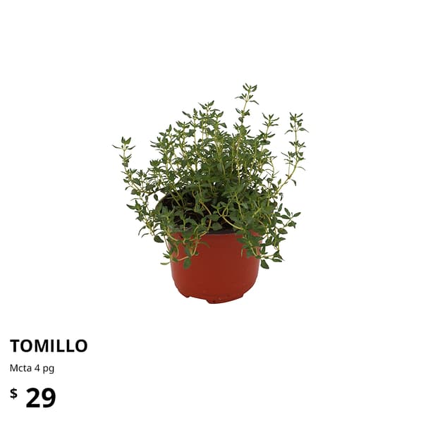 planta ikea
