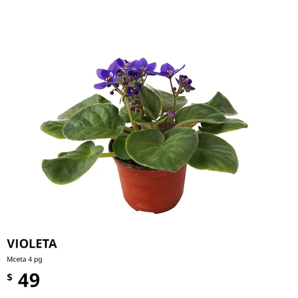 planta ikea