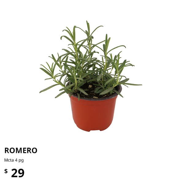 planta ikea