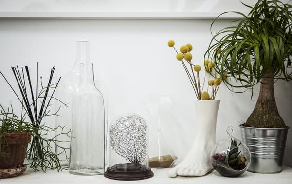 Plantas en diferentes testos e floreiros.