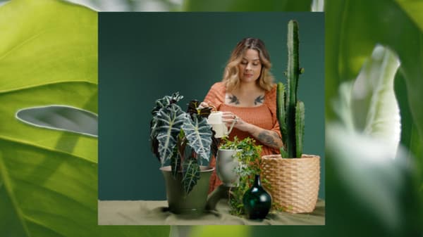 Plantas IKEA