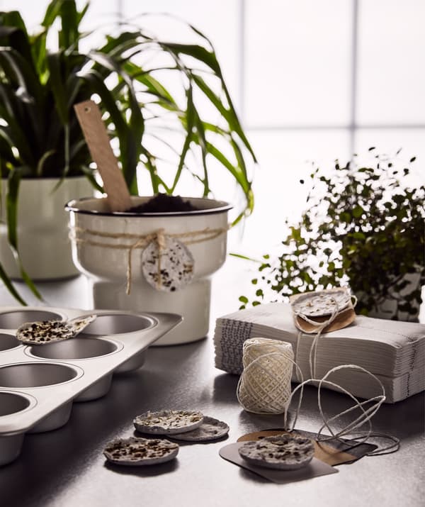 Plantas verdes, cápsulas para plantar feitas em casa numa forma para queques e um vaso bege para oferecer com uma cápsula para plantar atada à volta.