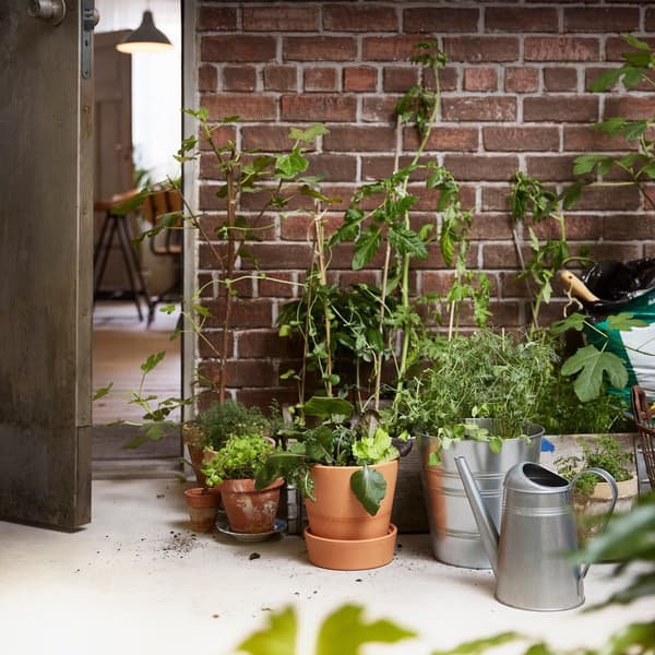 Plantas y semillas en maceteros IKEA SOCKER