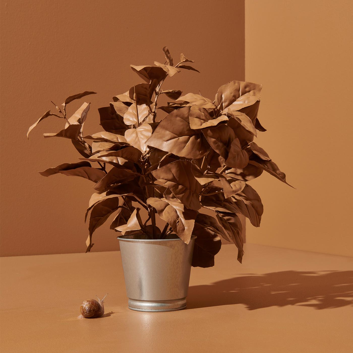 plante couleur ocre dans un cache pot en acier