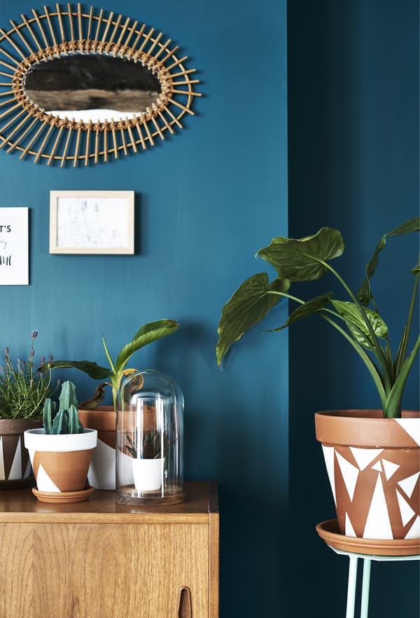 Plantes dans des pots en terre cuite peints.