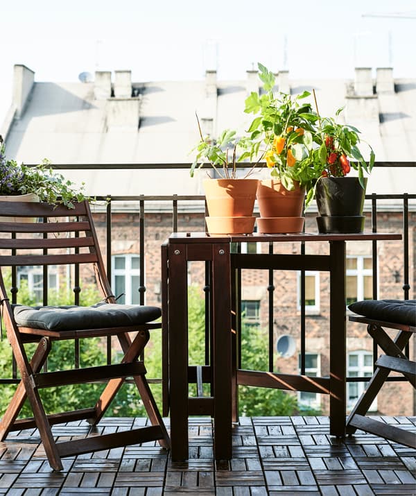 Plantes en pots posées sur la table en bois foncé, les chaises assorties sont prêtes à accueillir des convives.