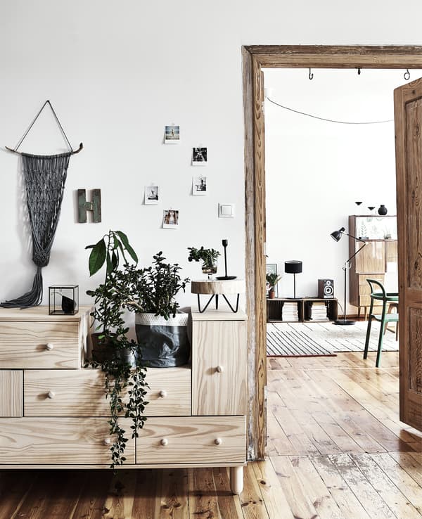 Plantes posées sur un rangement en bois, à côté d’un passage de porte ouvert.