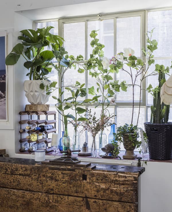 Plants and cuttings on the sill of a large window.