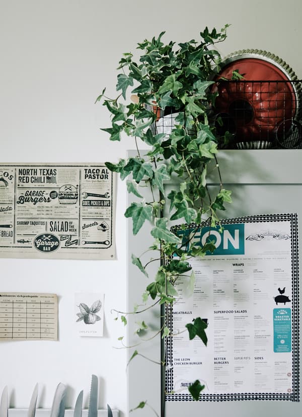 Plants bring life to the kitchen too