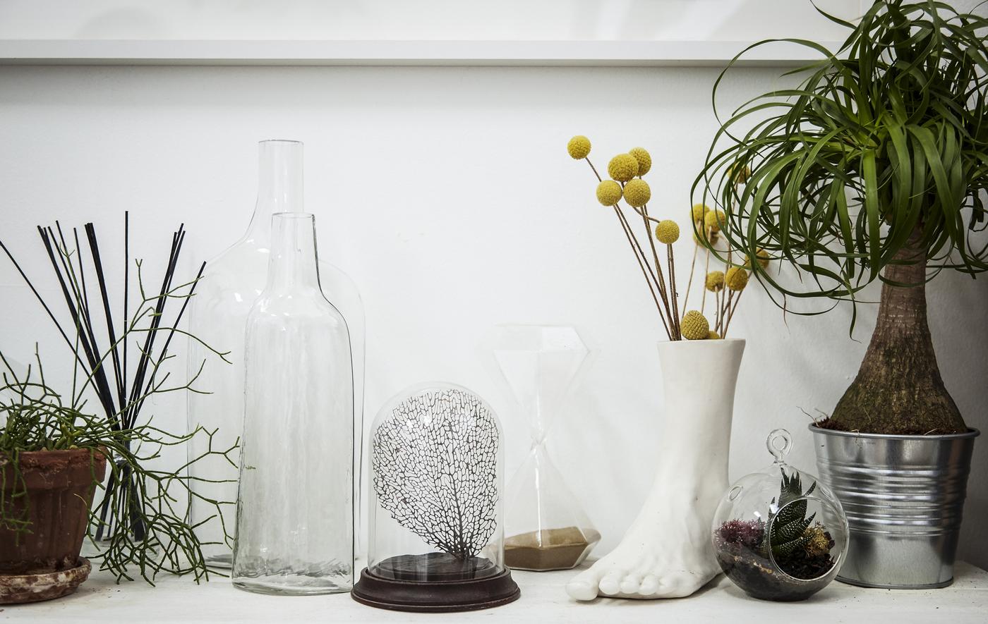 Home visit our life at home with plants IKEA