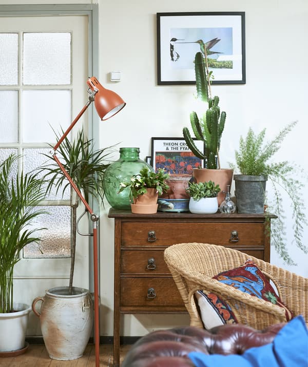 Plants displayed on top of an old chest of drawers and a red floor lamp.