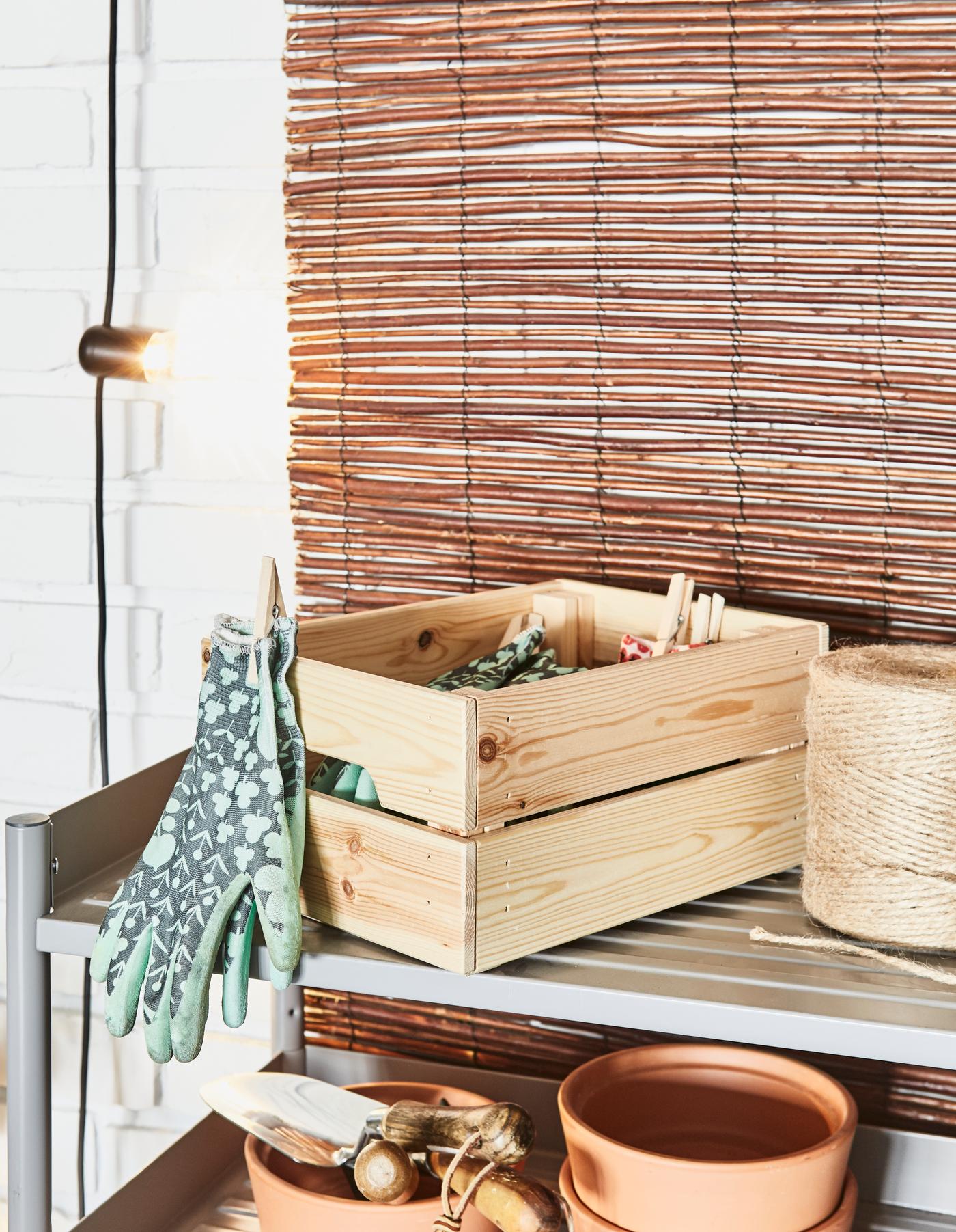 Plants in an iron shelving unit