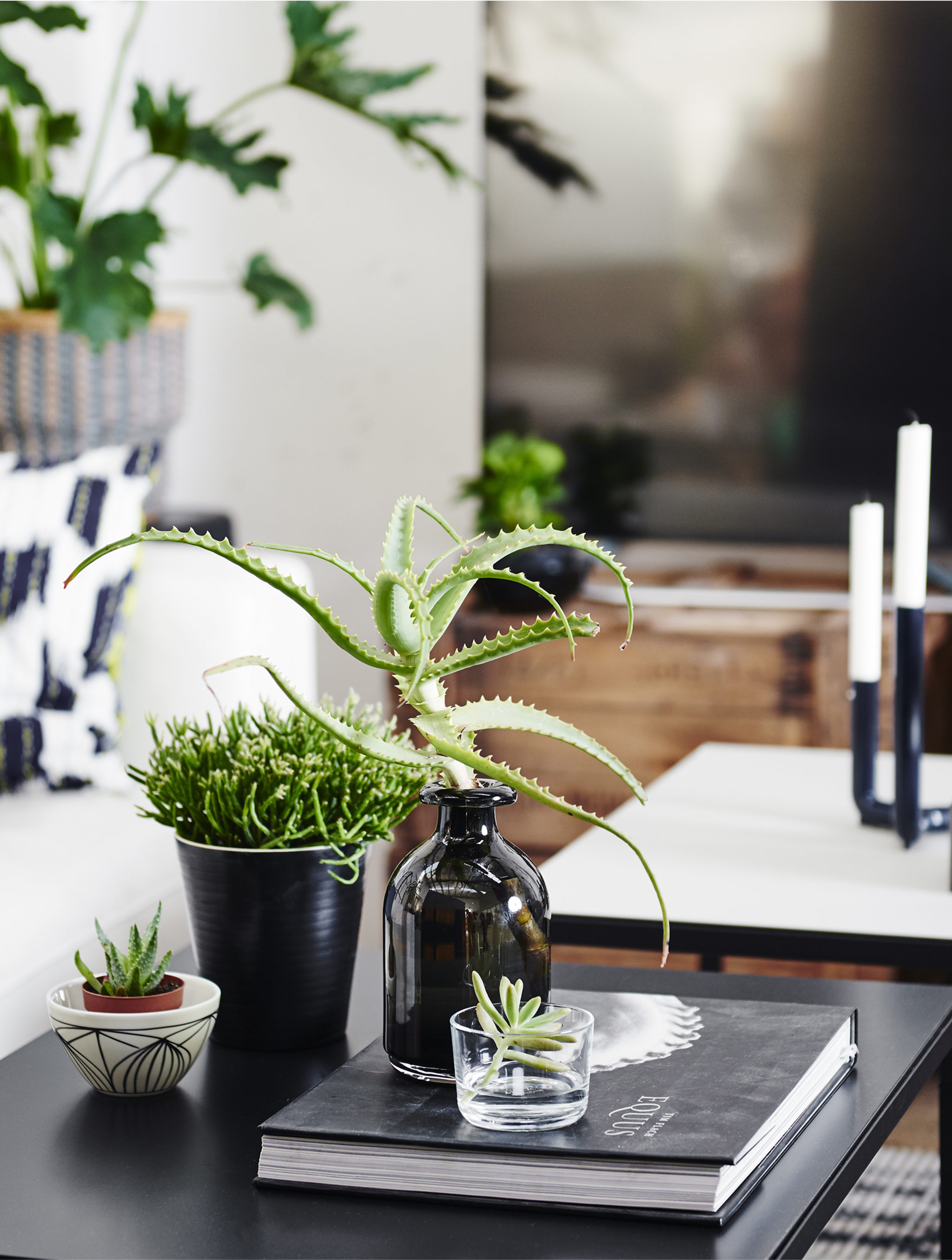 Ideas for decorating with house plants IKEA IKEA