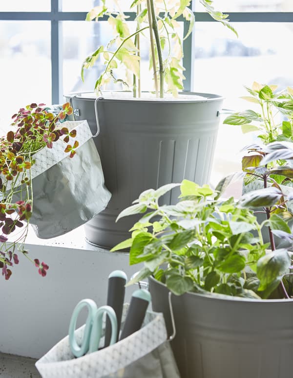 Plants in planting bags are placed in KNODD bins to create an indoor garden.