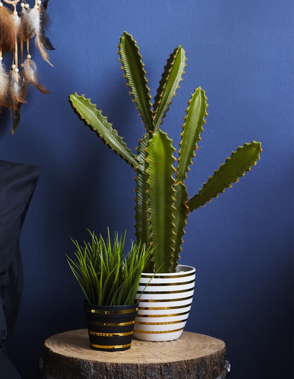 Plants in pots decorated with gold tape.