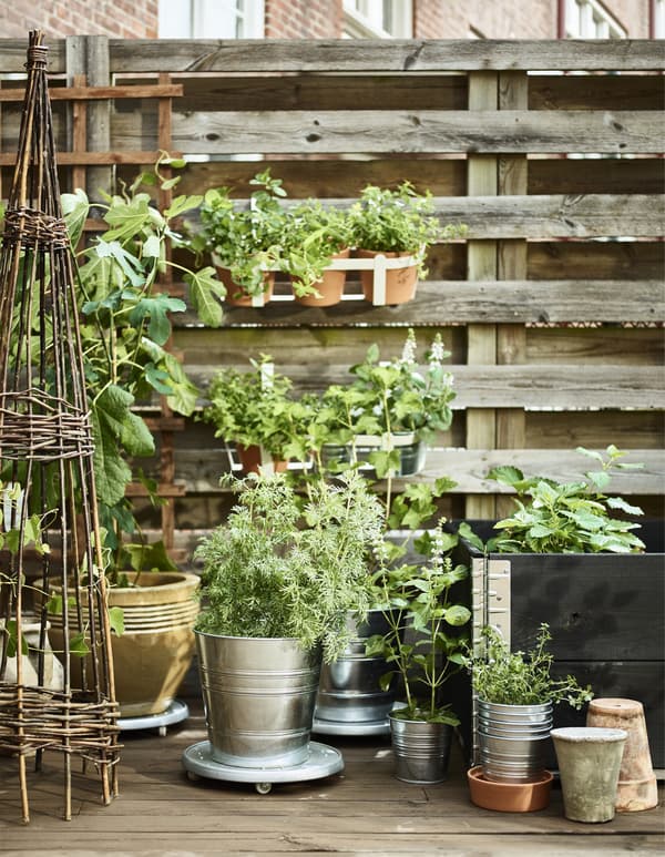 Plants in pots, including the SOCKER plant pot series from IKEA, outside against a fence.
