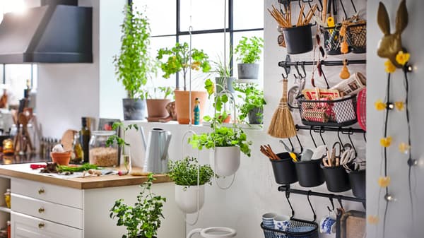 Plants in white hanging planters and in a window by a kitchen worktop, plus various items in black containers on rails.