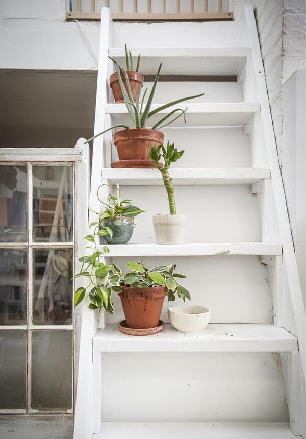 Plants line the staircase.