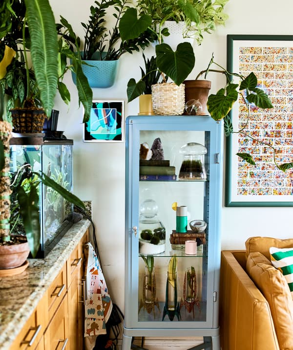 Plants of different sizes in a fish tank, on the wall and in a glass cabinet, plus a leather sofa and framed picture.